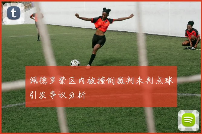 佩德罗禁区内被撞倒裁判未判点球引发争议分析