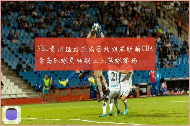 NBL贵州猛龙正式签约刘家昕前CBA青岛队球员转战三人篮球赛场